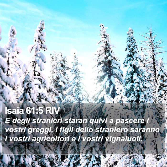 Isaia 61:5 RIV Bible Study