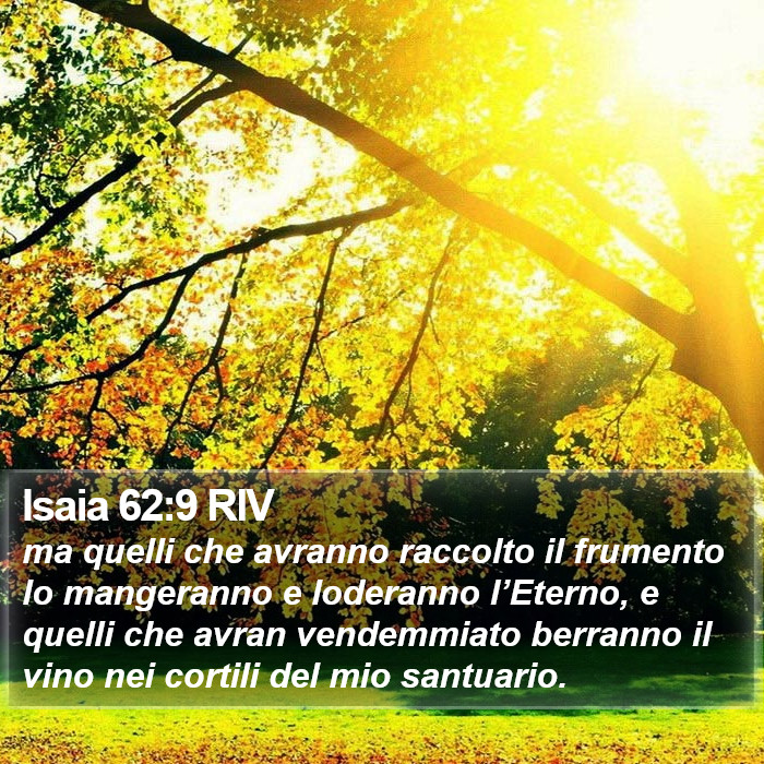 Isaia 62:9 RIV Bible Study