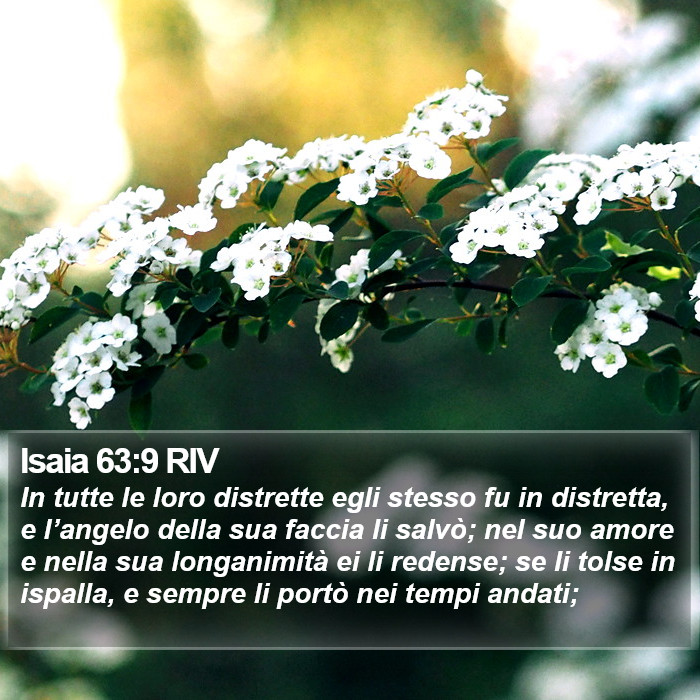 Isaia 63:9 RIV Bible Study