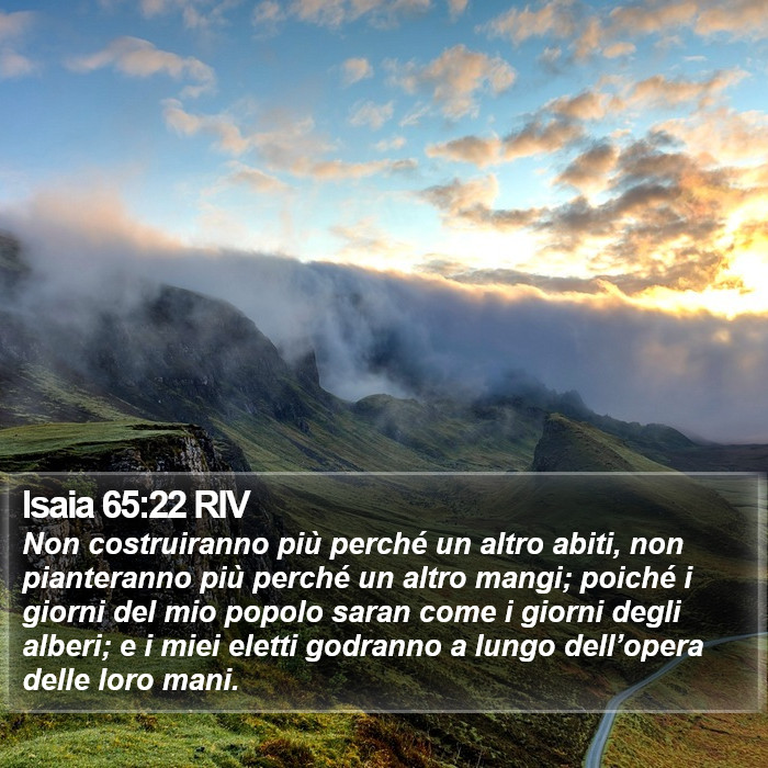 Isaia 65:22 RIV Bible Study