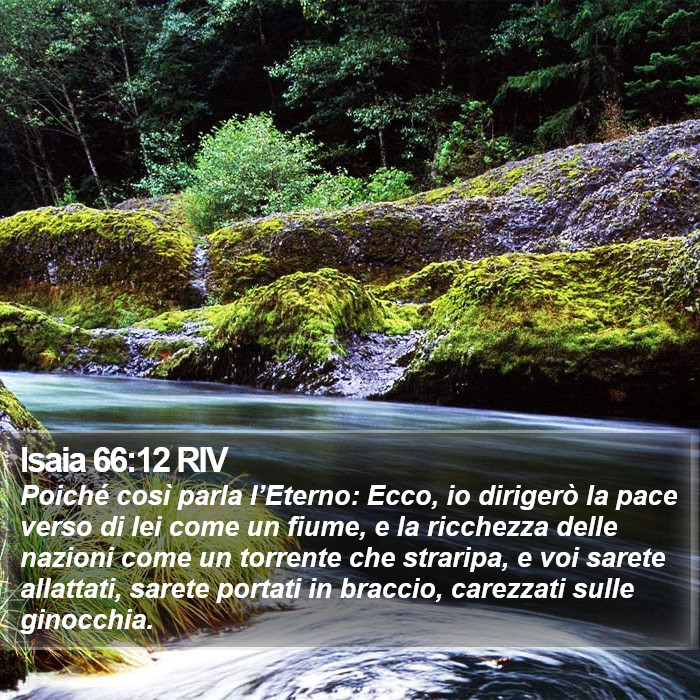 Isaia 66:12 RIV Bible Study
