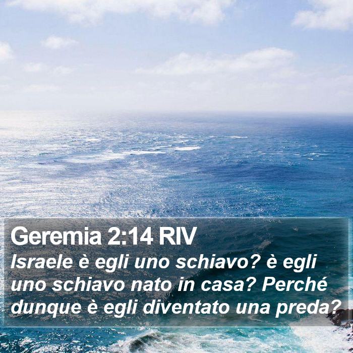 Geremia 2:14 RIV Bible Study