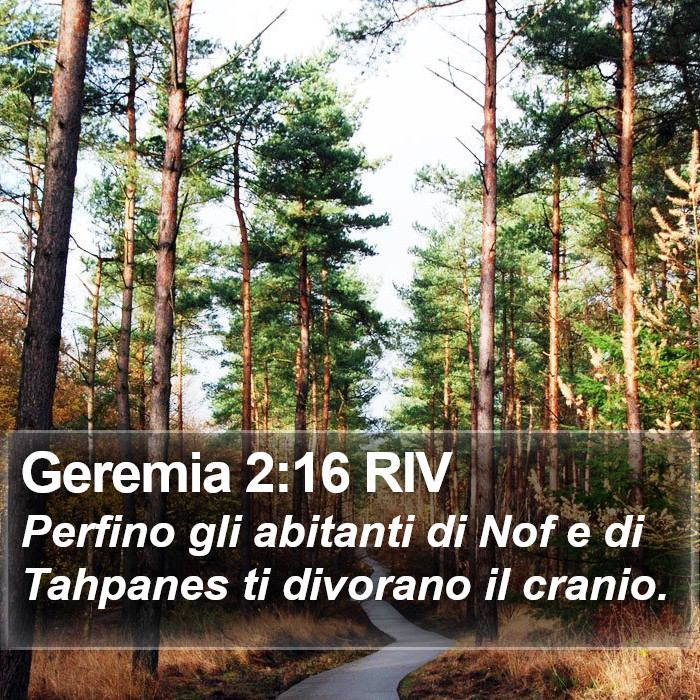 Geremia 2:16 RIV Bible Study