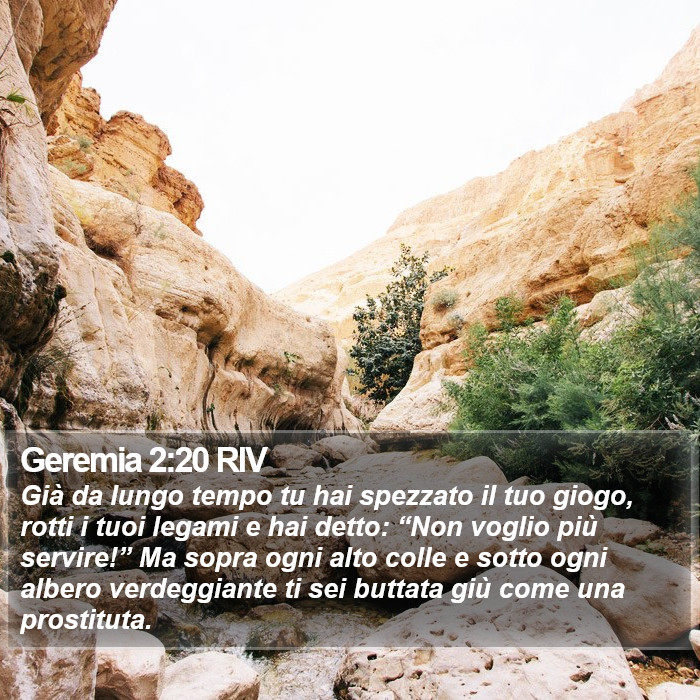 Geremia 2:20 RIV Bible Study