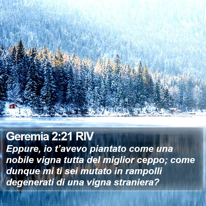 Geremia 2:21 RIV Bible Study