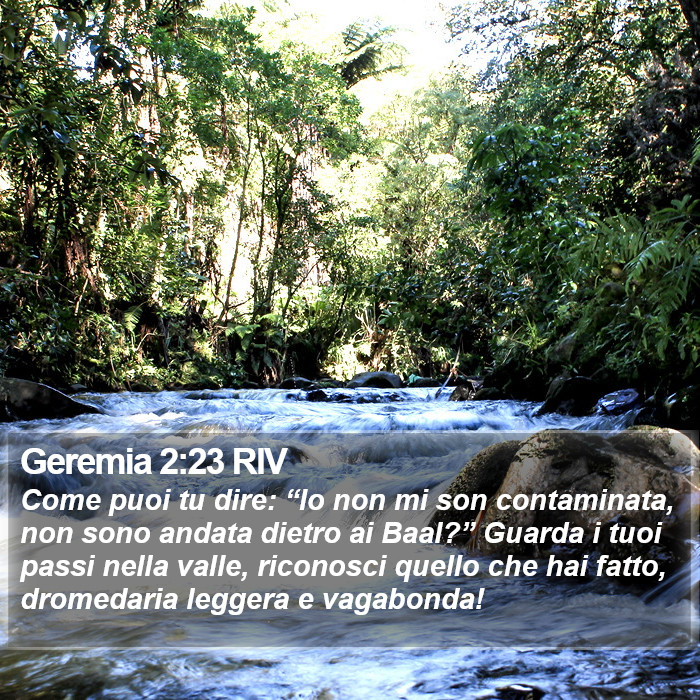 Geremia 2:23 RIV Bible Study