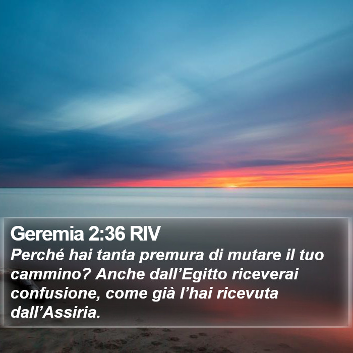Geremia 2:36 RIV Bible Study