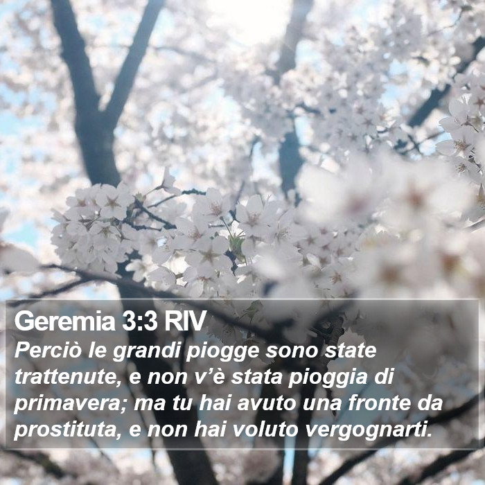 Geremia 3:3 RIV Bible Study