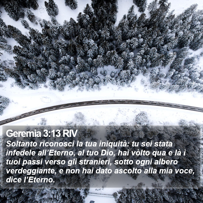 Geremia 3:13 RIV Bible Study