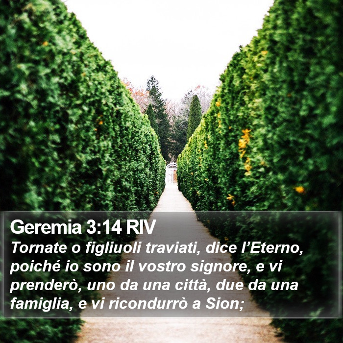 Geremia 3:14 RIV Bible Study