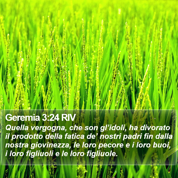 Geremia 3:24 RIV Bible Study