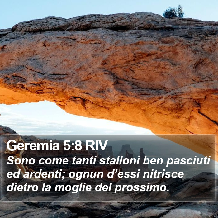 Geremia 5:8 RIV Bible Study