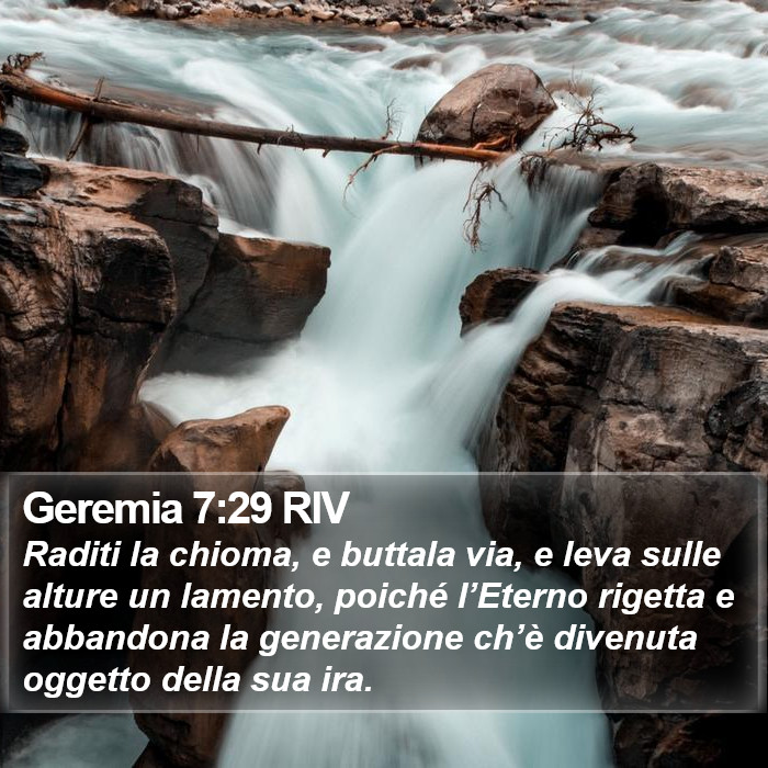Geremia 7:29 RIV Bible Study