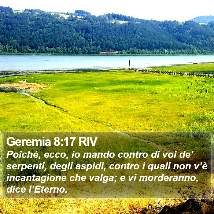 Geremia 8:17 RIV Bible Study