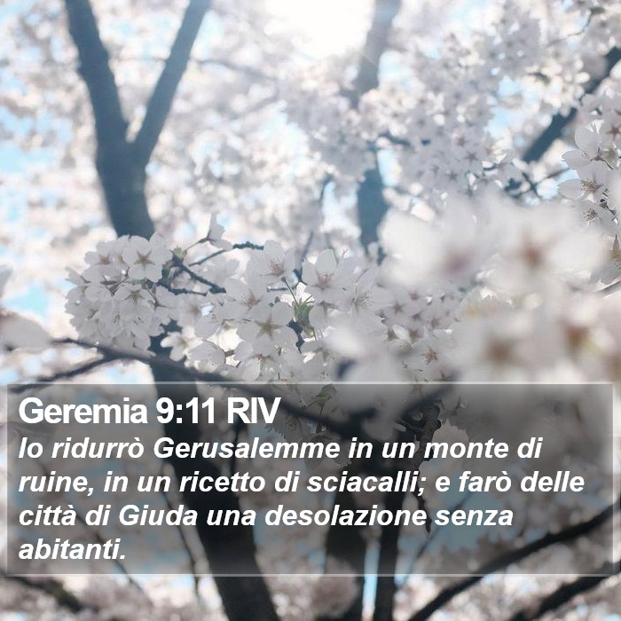 Geremia 9:11 RIV Bible Study