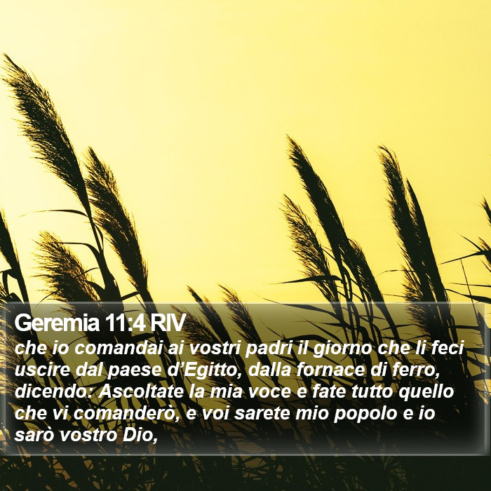 Geremia 11:4 RIV Bible Study