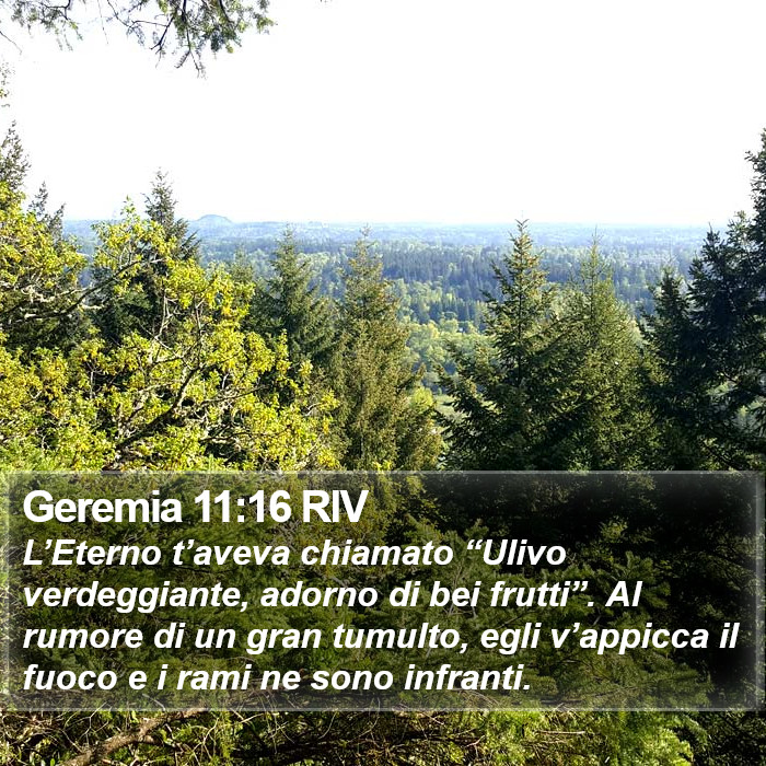 Geremia 11:16 RIV Bible Study