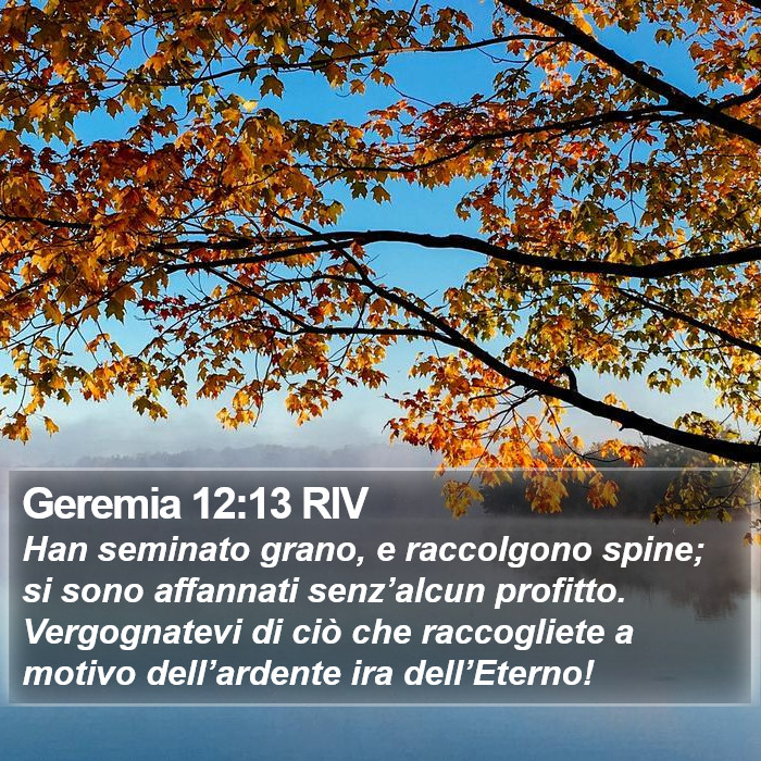 Geremia 12:13 RIV Bible Study
