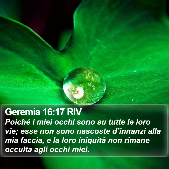Geremia 16:17 RIV Bible Study