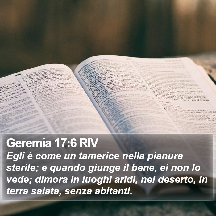 Geremia 17:6 RIV Bible Study