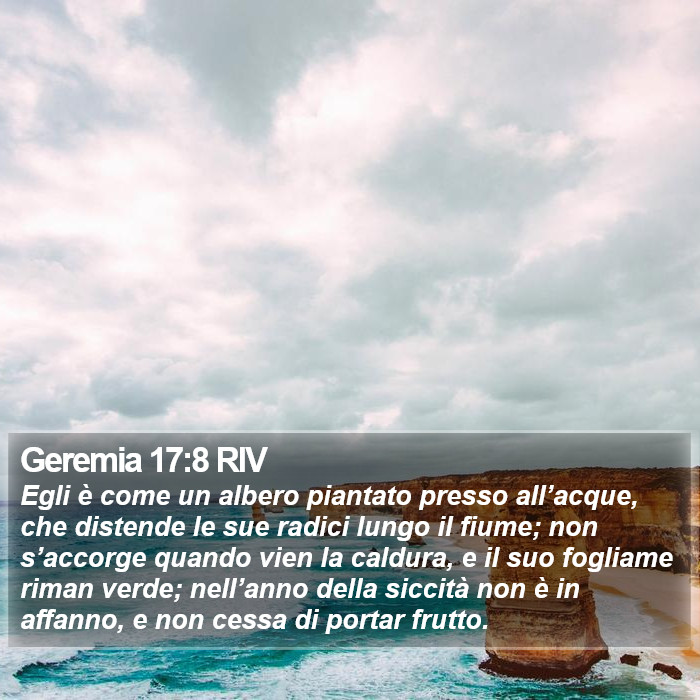 Geremia 17:8 RIV Bible Study