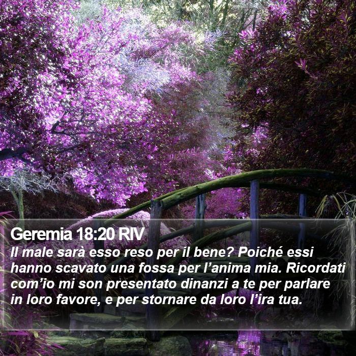 Geremia 18:20 RIV Bible Study