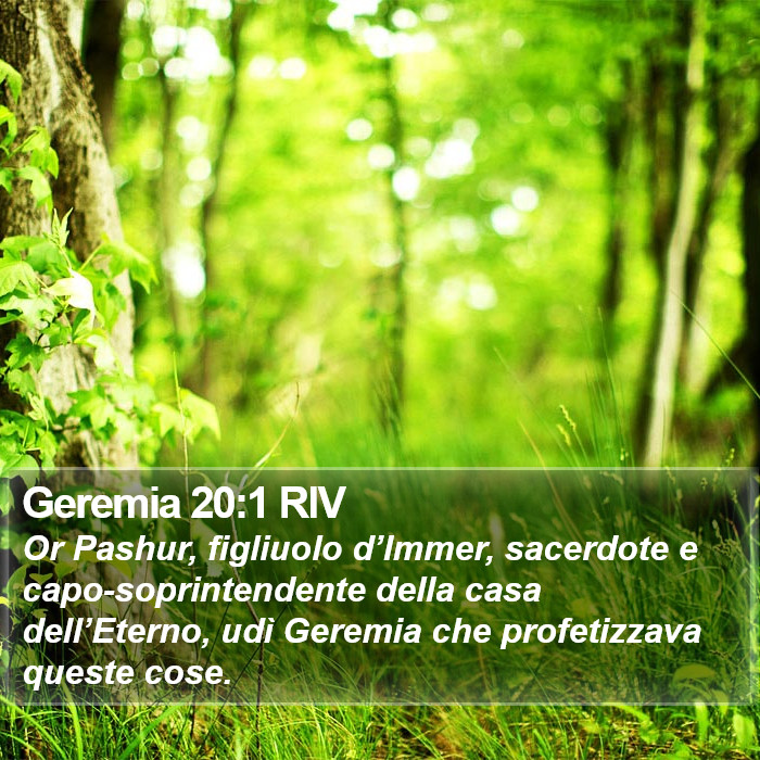 Geremia 20:1 RIV Bible Study