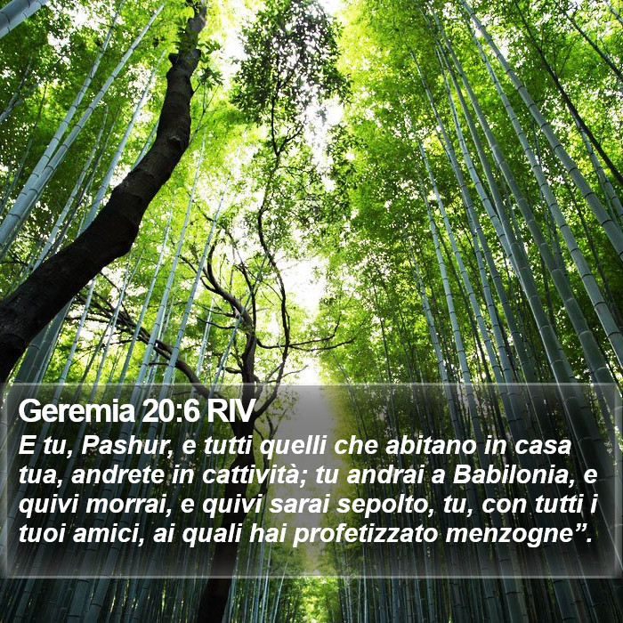 Geremia 20:6 RIV Bible Study