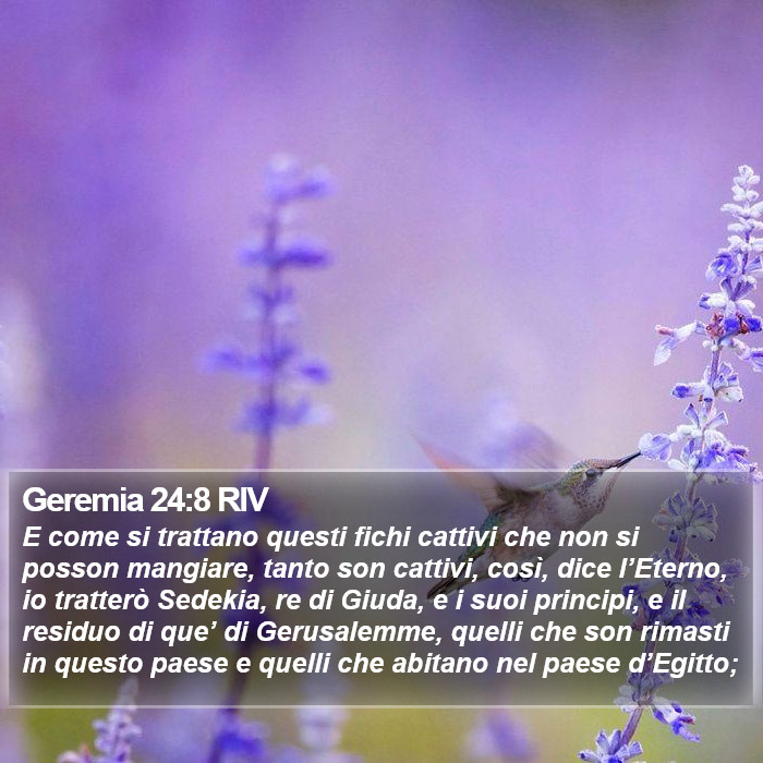 Geremia 24:8 RIV Bible Study