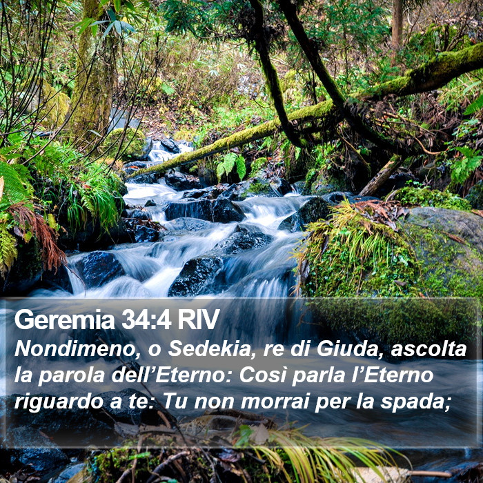 Geremia 34:4 RIV Bible Study