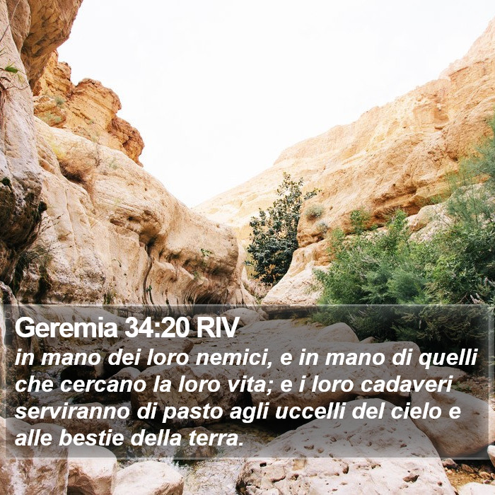 Geremia 34:20 RIV Bible Study
