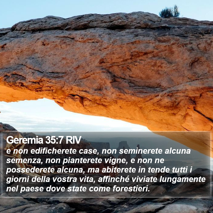 Geremia 35:7 RIV Bible Study