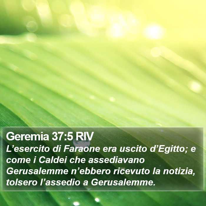 Geremia 37:5 RIV Bible Study