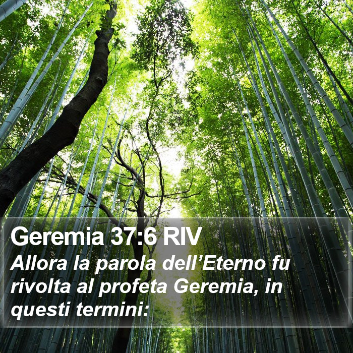 Geremia 37:6 RIV Bible Study