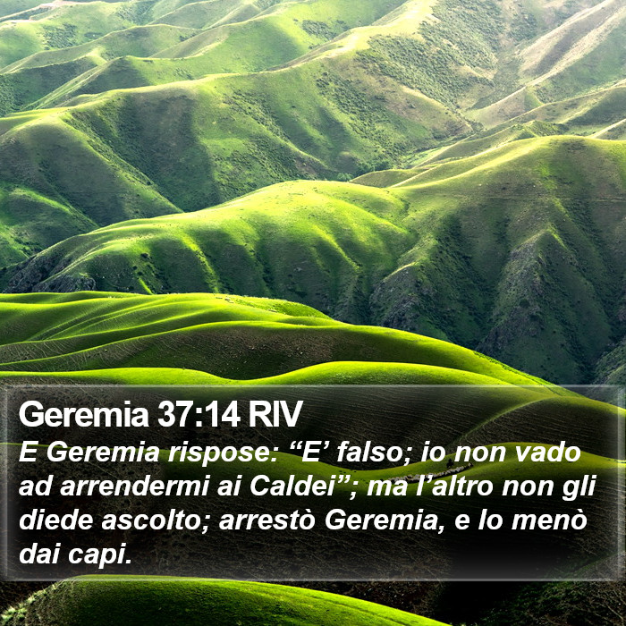 Geremia 37:14 RIV Bible Study