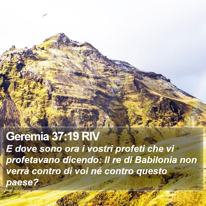 Geremia 37:19 RIV Bible Study