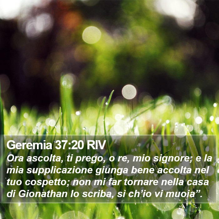 Geremia 37:20 RIV Bible Study
