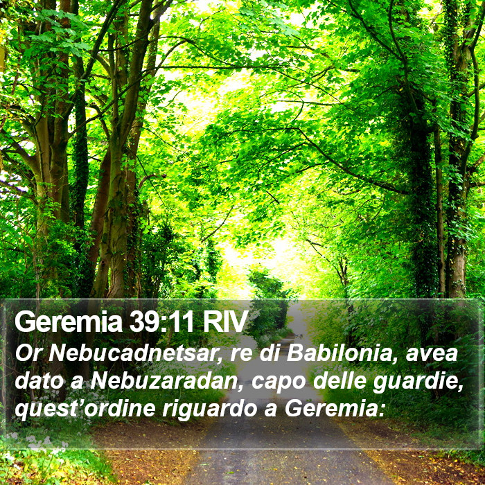 Geremia 39:11 RIV Bible Study