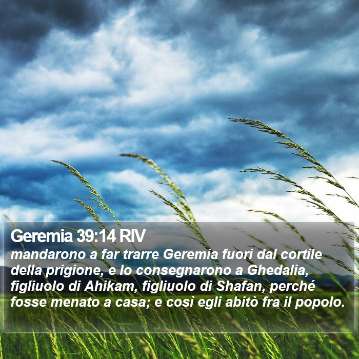 Geremia 39:14 RIV Bible Study