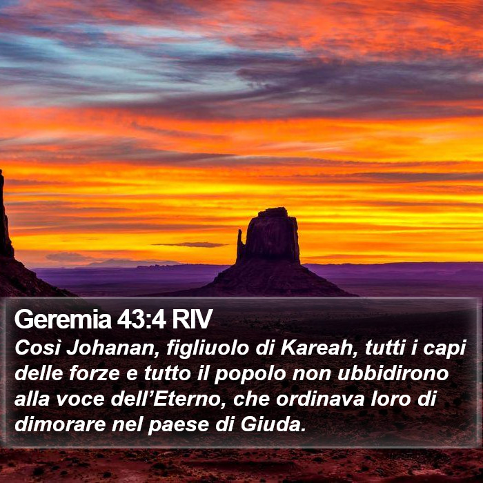 Geremia 43:4 RIV Bible Study