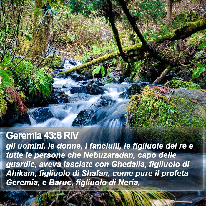 Geremia 43:6 RIV Bible Study