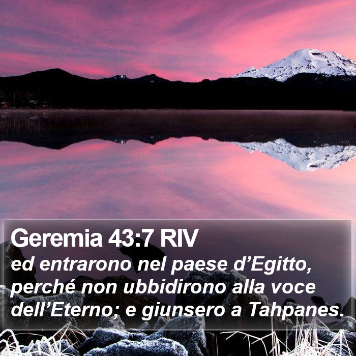 Geremia 43:7 RIV Bible Study