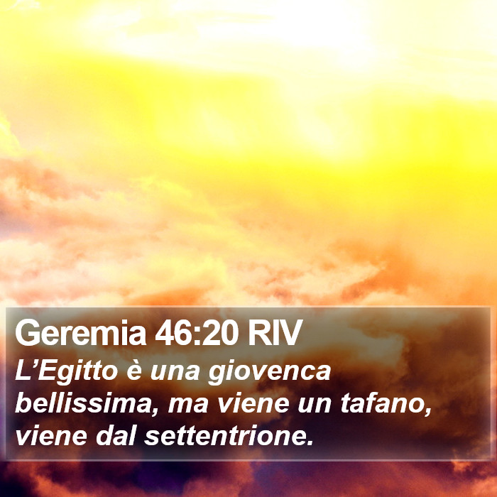 Geremia 46:20 RIV Bible Study