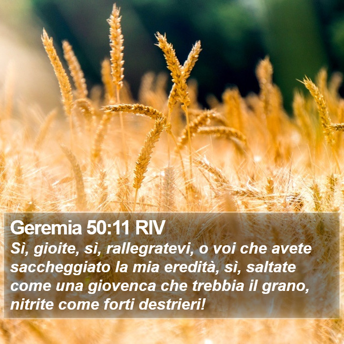 Geremia 50:11 RIV Bible Study