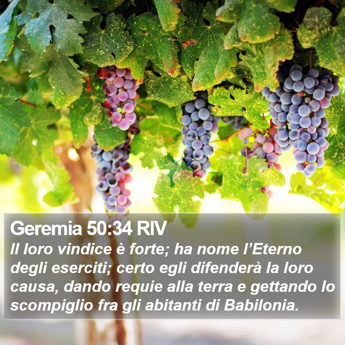 Geremia 50:34 RIV Bible Study