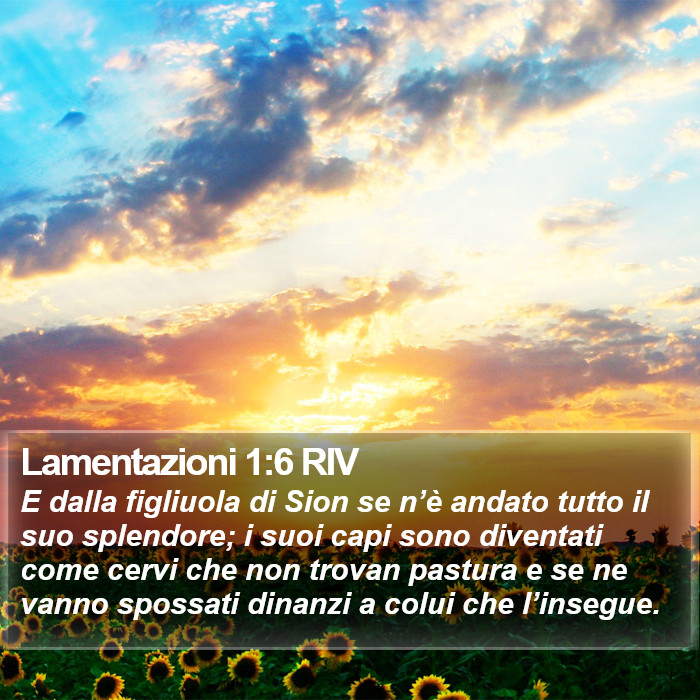 Lamentazioni 1:6 RIV Bible Study