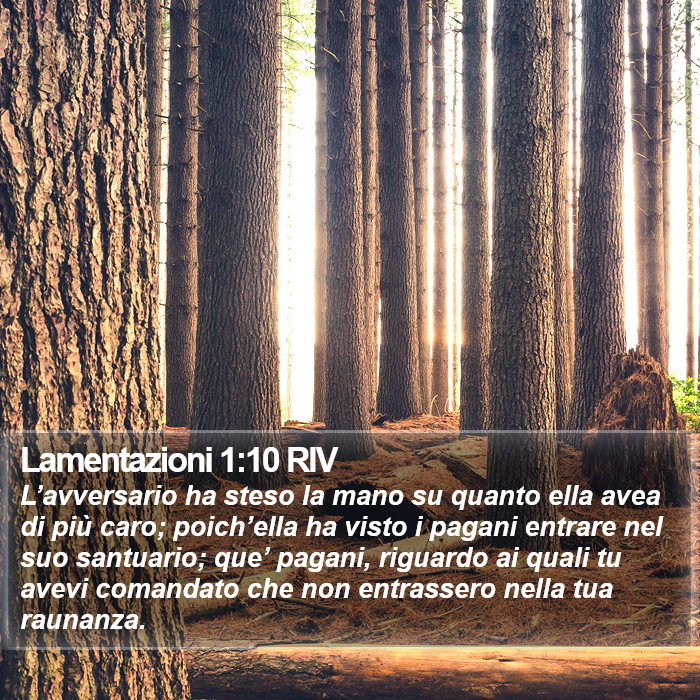 Lamentazioni 1:10 RIV Bible Study