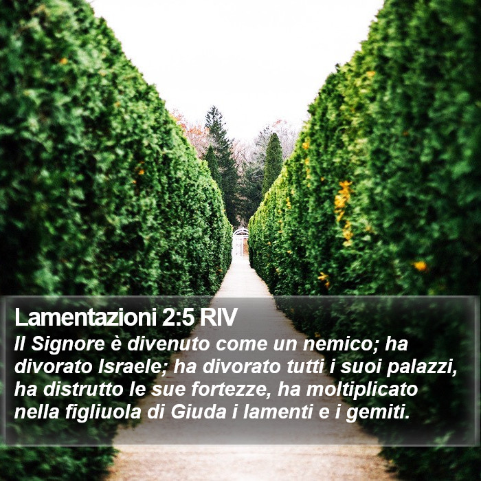 Lamentazioni 2:5 RIV Bible Study