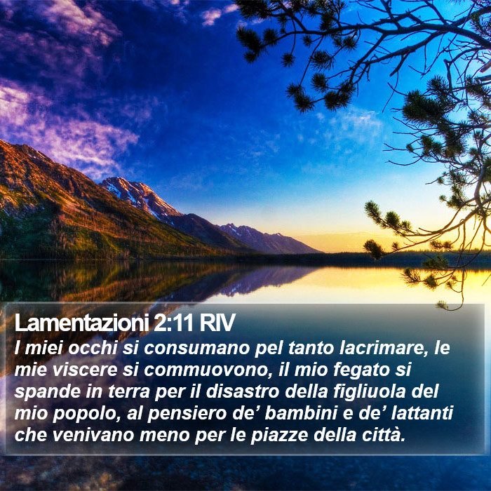 Lamentazioni 2:11 RIV Bible Study