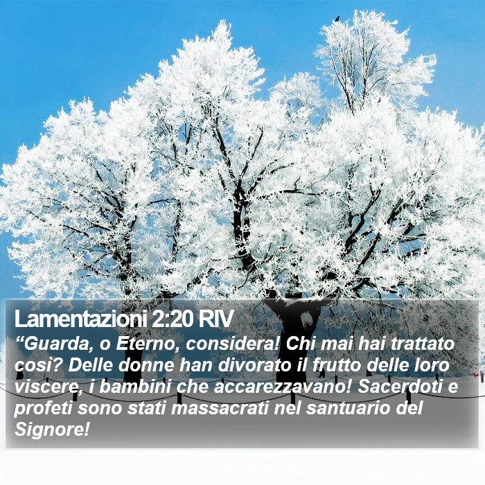 Lamentazioni 2:20 RIV Bible Study